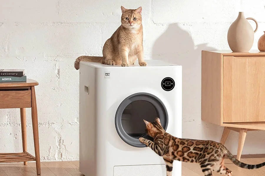 best automatic kitty litter
